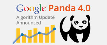 google-panda