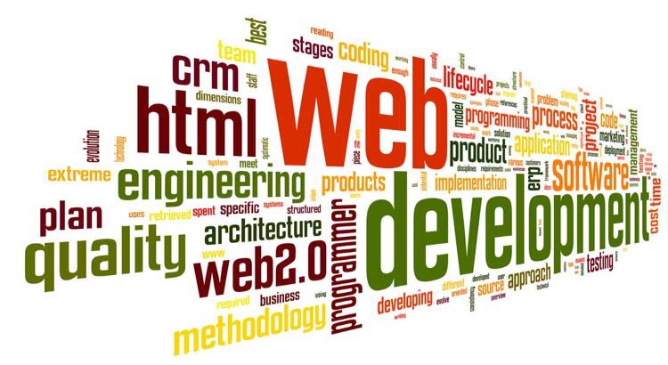 what is website development