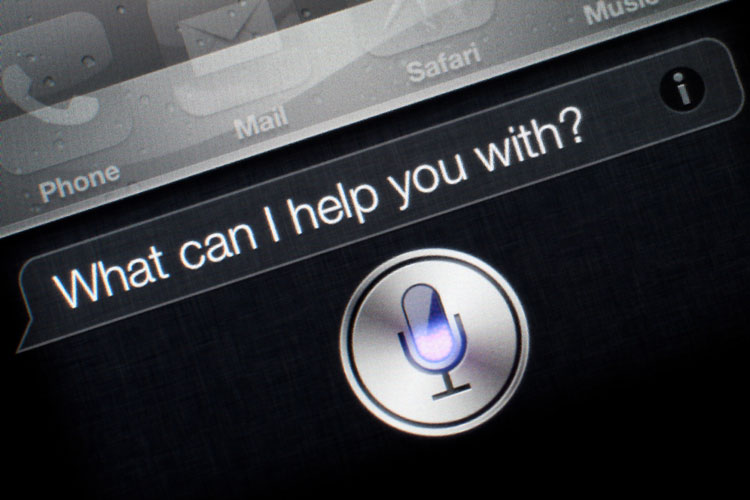 optmizing-seo-for-voice-search-option